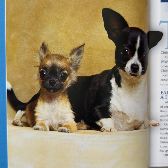 Book: The Chihuahua - Picture 3 of 12